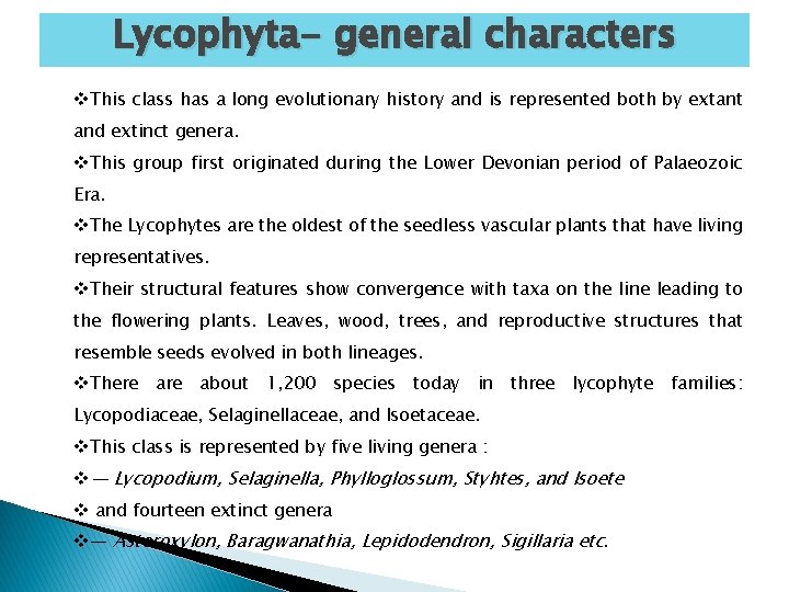 Lycophyta- general characters v. This class has a long evolutionary history and is represented