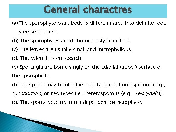 General charactres (a) The sporophyte plant body is differen tiated into definite root, stem