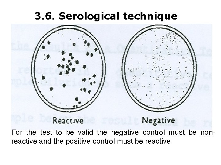 3. 6. Serological technique For the test to be valid the negative control must