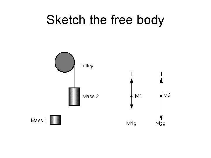 Sketch the free body 