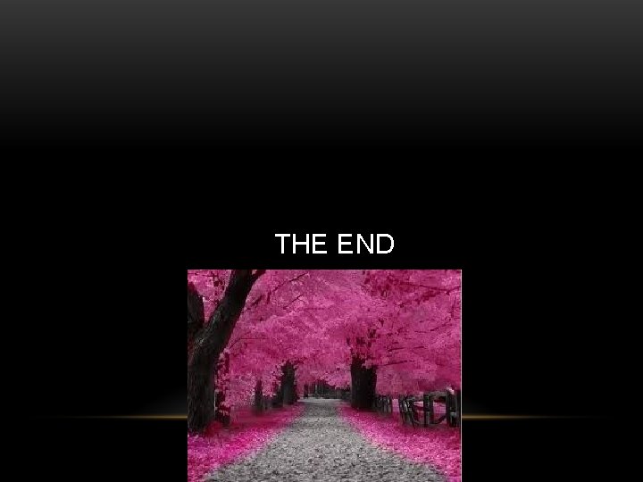 THE END 