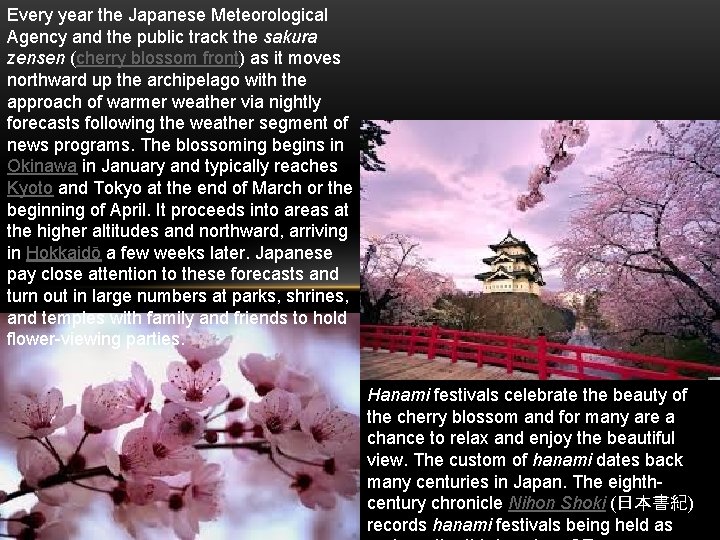 Every year the Japanese Meteorological Agency and the public track the sakura zensen (cherry