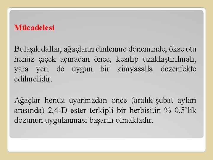 Mücadelesi Bulaşık dallar, ağaçların dinlenme döneminde, ökse otu henüz çiçek açmadan önce, kesilip uzaklaştırılmalı,