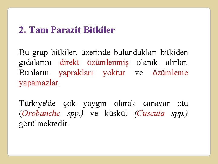 2. Tam Parazit Bitkiler Bu grup bitkiler, üzerinde bulundukları bitkiden gıdalarını direkt özümlenmiş olarak