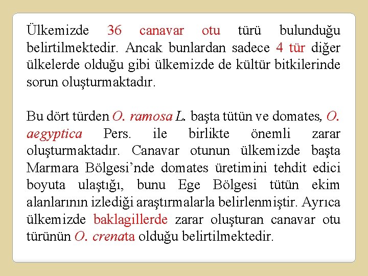 Ülkemizde 36 canavar otu türü bulunduğu belirtilmektedir. Ancak bunlardan sadece 4 tür diğer ülkelerde