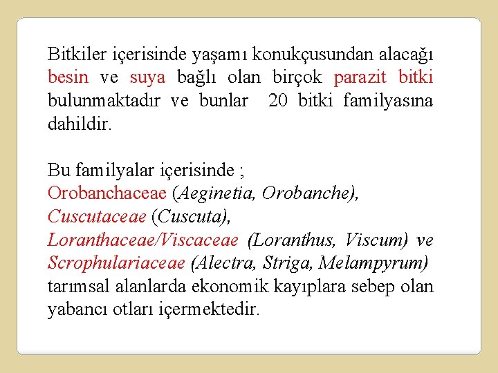 Bitkiler içerisinde yaşamı konukçusundan alacağı besin ve suya bağlı olan birçok parazit bitki bulunmaktadır