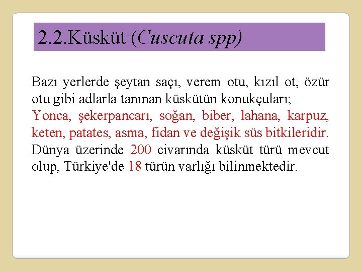 2. 2. Küsküt (Cuscuta spp) Bazı yerlerde şeytan saçı, verem otu, kızıl ot, özür
