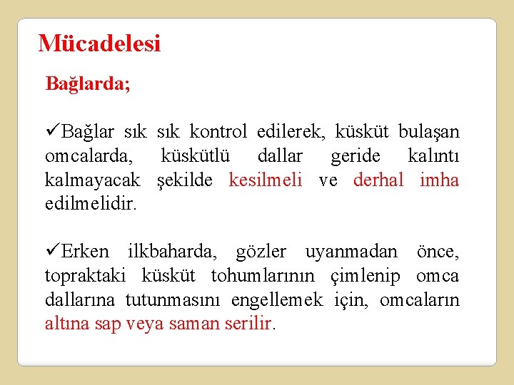 Mücadelesi Bağlarda; üBağlar sık kontrol edilerek, küsküt bulaşan omcalarda, küskütlü dallar geride kalıntı kalmayacak