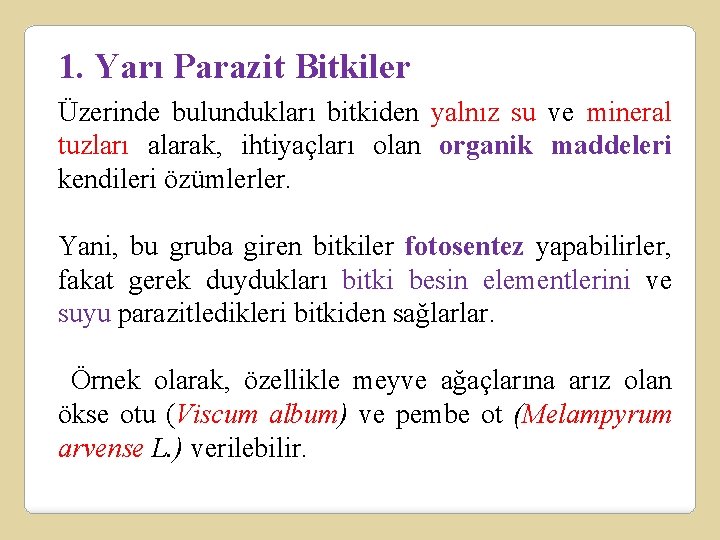 1. Yarı Parazit Bitkiler Üzerinde bulundukları bitkiden yalnız su ve mineral tuzları alarak, ihtiyaçları