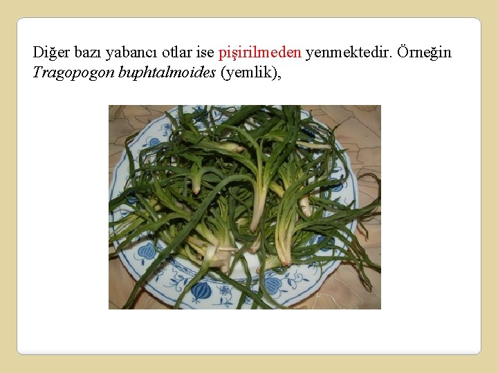 Diğer bazı yabancı otlar ise pişirilmeden yenmektedir. Örneğin Tragopogon buphtalmoides (yemlik), 