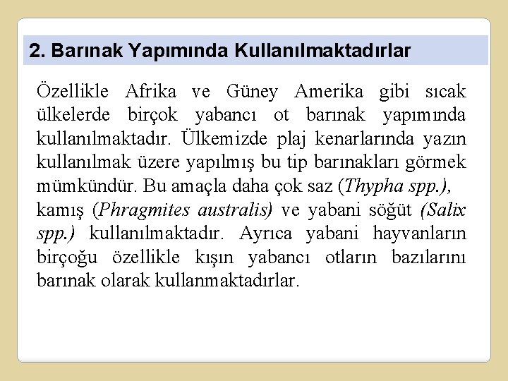 2. Barınak Yapımında Kullanılmaktadırlar Özellikle Afrika ve Güney Amerika gibi sıcak ülkelerde birçok yabancı
