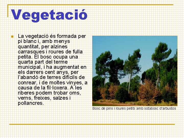 Vegetació n La vegetació és formada per pi blanc i, amb menys quantitat, per