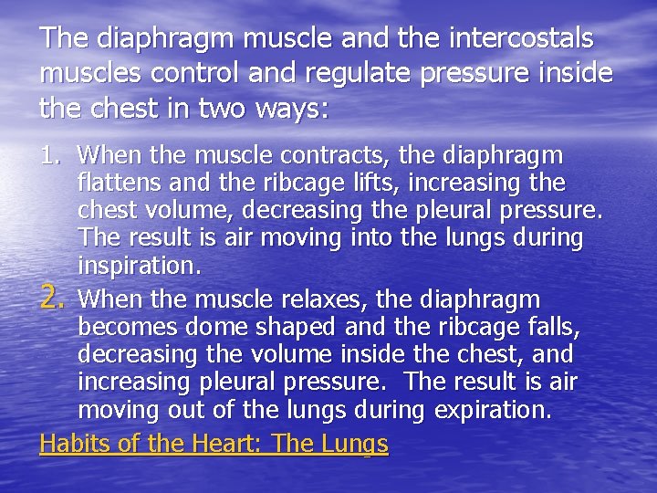 The diaphragm muscle and the intercostals muscles control and regulate pressure inside the chest