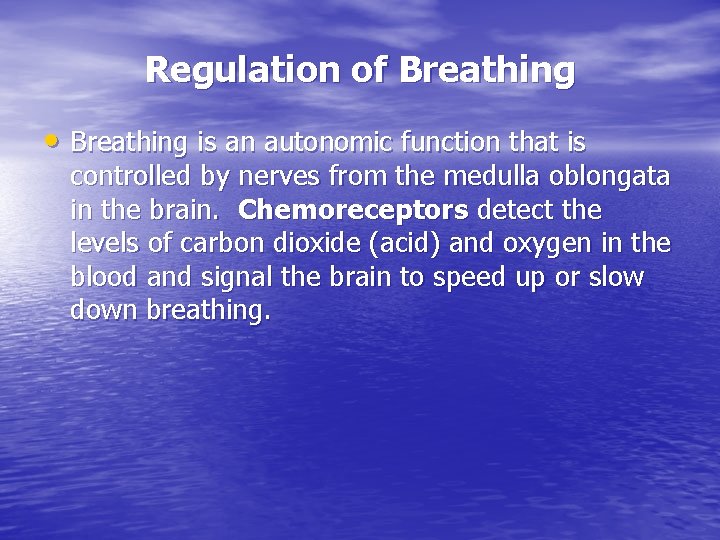 Regulation of Breathing • Breathing is an autonomic function that is controlled by nerves