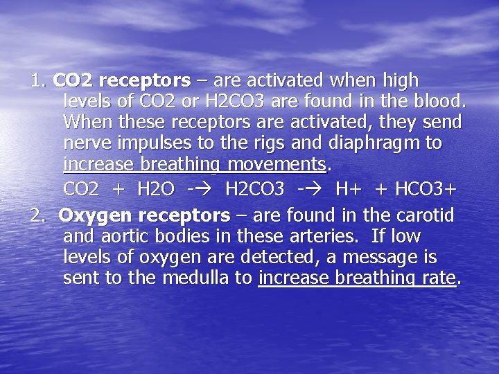 1. CO 2 receptors – are activated when high levels of CO 2 or