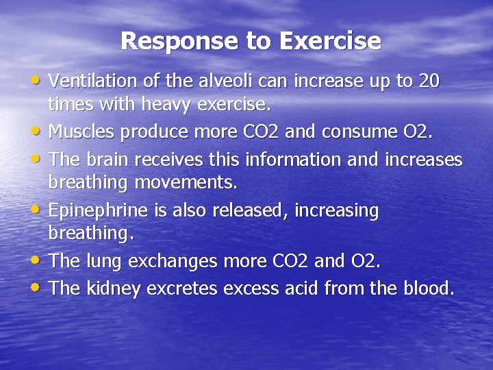 Response to Exercise • Ventilation of the alveoli can increase up to 20 •