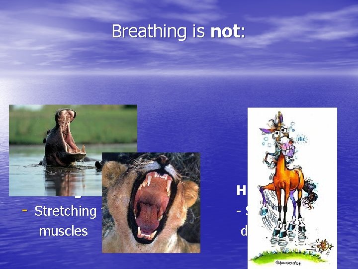 Breathing is not: Yawning - Stretching the facial muscles Hiccuping - Spasm of the