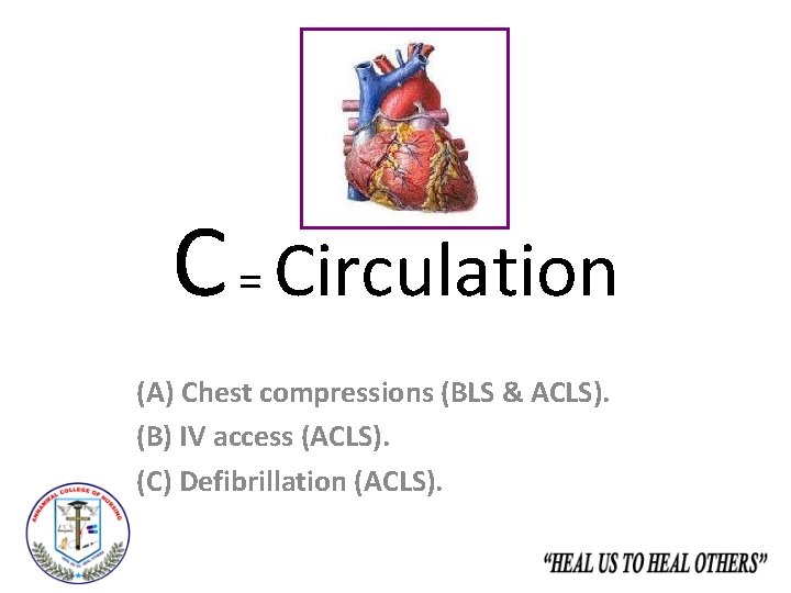 C = Circulation (A) Chest compressions (BLS & ACLS). (B) IV access (ACLS). (C)