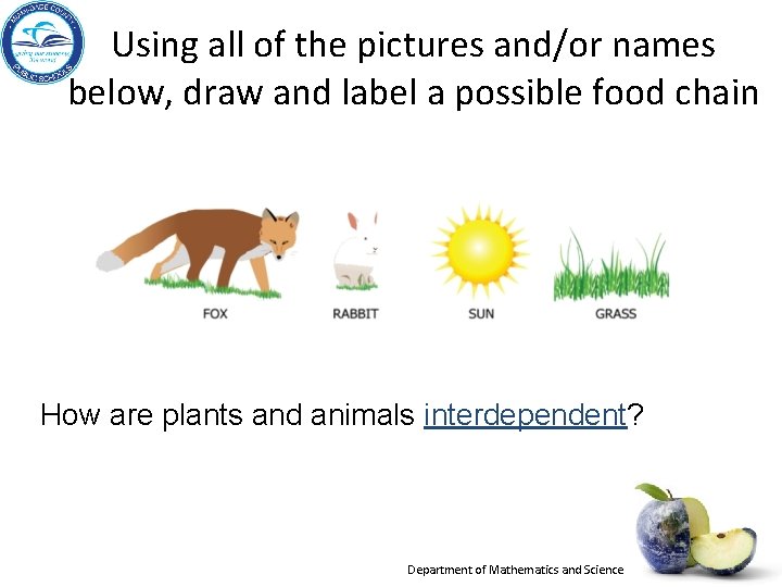 Using all of the pictures and/or names below, draw and label a possible food