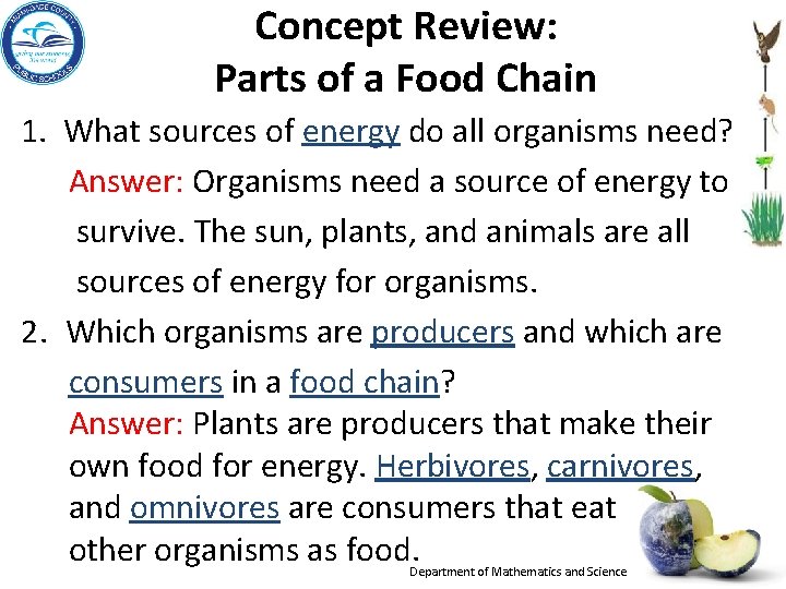 Concept Review: Parts of a Food Chain 1. What sources of energy do all