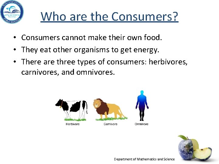 Who are the Consumers? • Consumers cannot make their own food. • They eat
