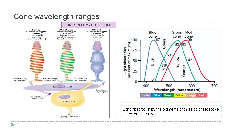 Text Important Formulas Numbers Doctor notes Notes and