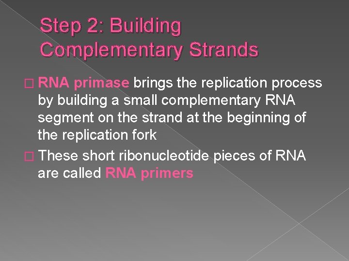 Step 2: Building Complementary Strands � RNA primase brings the replication process by building