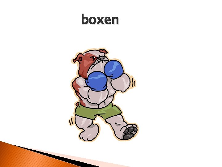 boxen 