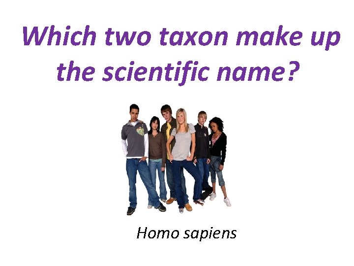 Which two taxon make up the scientific name? Homo sapiens 