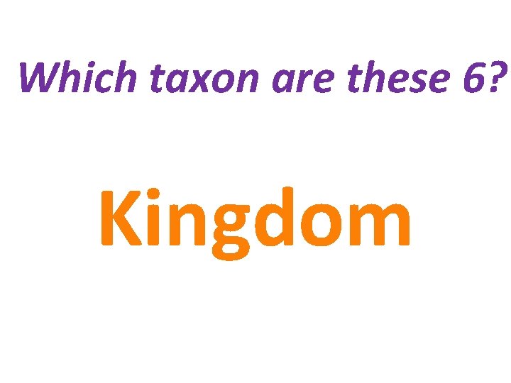 Which taxon are these 6? Kingdom 