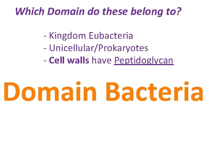 Which Domain do these belong to? - Kingdom Eubacteria - Unicellular/Prokaryotes - Cell walls