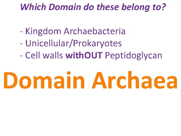 Which Domain do these belong to? - Kingdom Archaebacteria - Unicellular/Prokaryotes - Cell walls