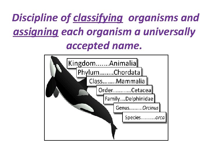 Discipline of classifying organisms and assigning each organism a universally accepted name. 