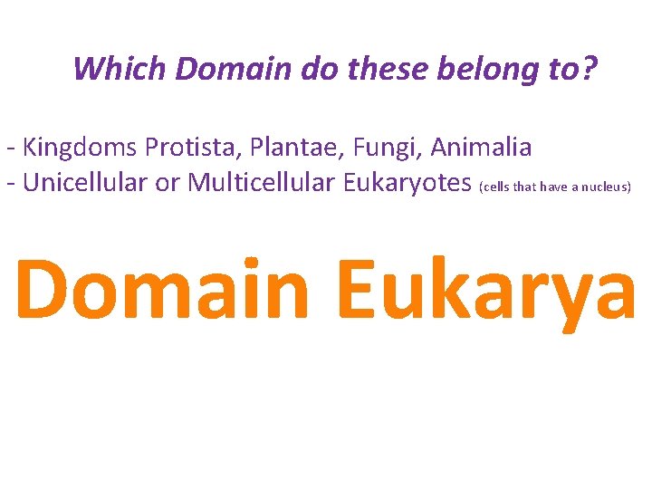 Which Domain do these belong to? - Kingdoms Protista, Plantae, Fungi, Animalia - Unicellular