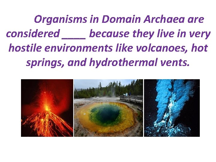 Organisms in Domain Archaea are considered ____ because they live in very hostile environments