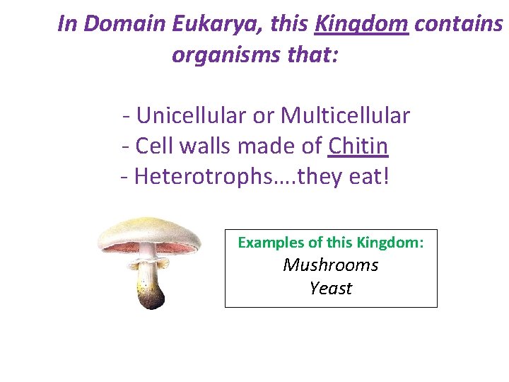 In Domain Eukarya, this Kingdom contains organisms that: - Unicellular or Multicellular - Cell