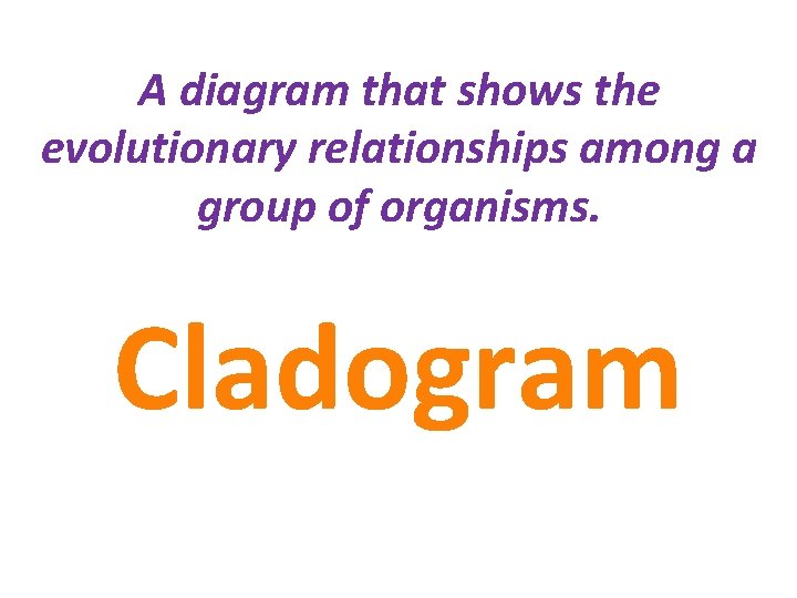A diagram that shows the evolutionary relationships among a group of organisms. Cladogram 