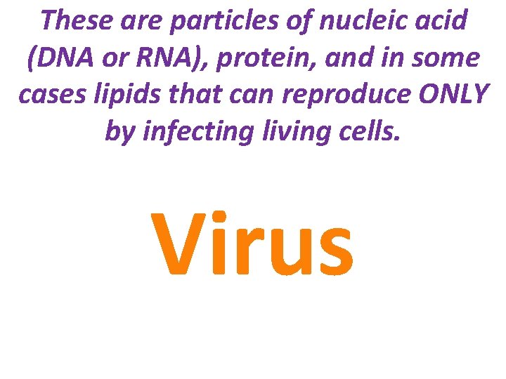 These are particles of nucleic acid (DNA or RNA), protein, and in some cases