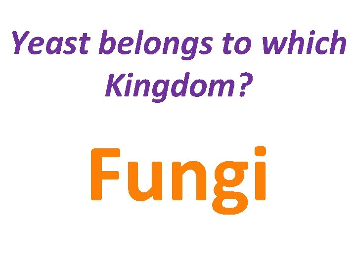 Yeast belongs to which Kingdom? Fungi 