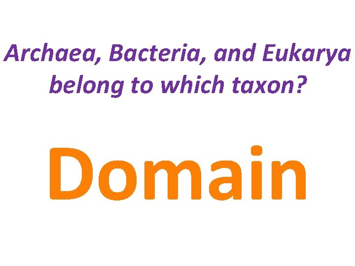 Archaea, Bacteria, and Eukarya belong to which taxon? Domain 
