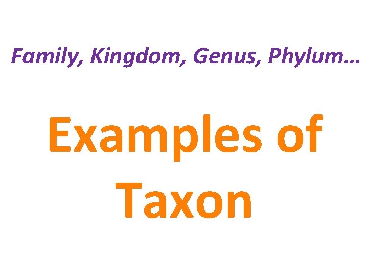 Family, Kingdom, Genus, Phylum… Examples of Taxon 