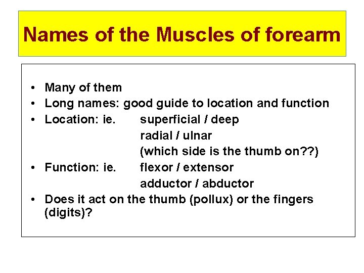 Names of the Muscles of forearm • Many of them • Long names: good