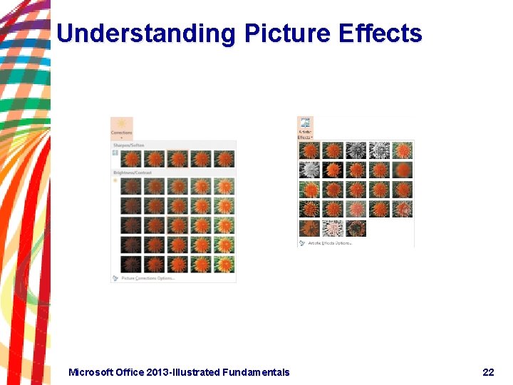 Understanding Picture Effects Microsoft Office 2013 -Illustrated Fundamentals 22 