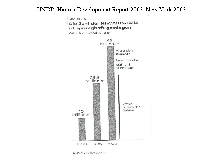 UNDP: Human Development Report 2003, New York 2003 