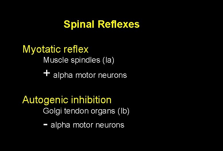 Spinal Reflexes Myotatic reflex Muscle spindles (Ia) + alpha motor neurons Autogenic inhibition Golgi