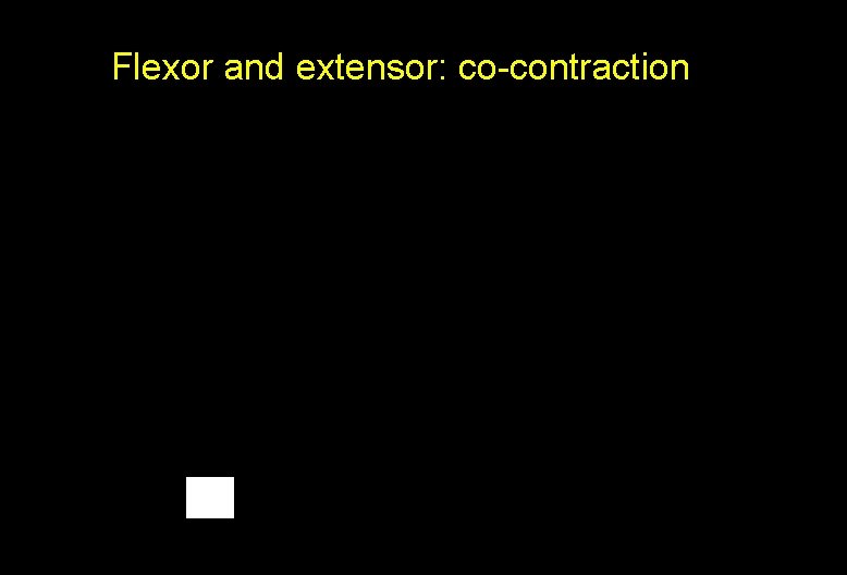 Flexor and extensor: co-contraction 
