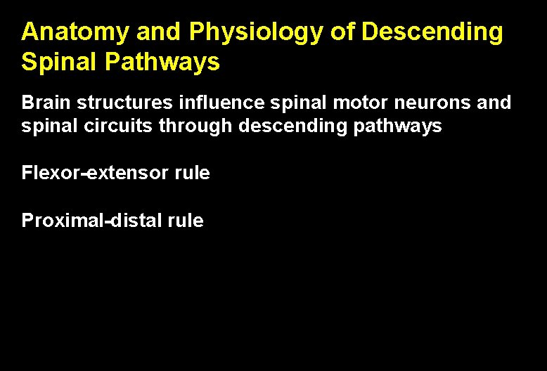 Anatomy and Physiology of Descending Spinal Pathways Brain structures influence spinal motor neurons and