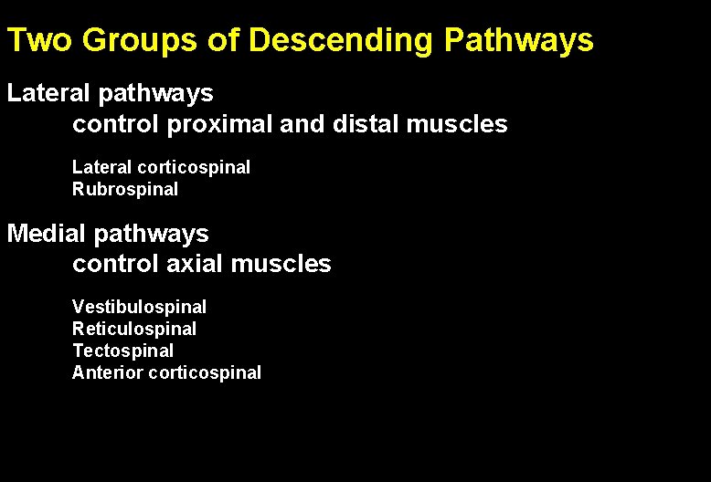 Two Groups of Descending Pathways Lateral pathways control proximal and distal muscles Lateral corticospinal