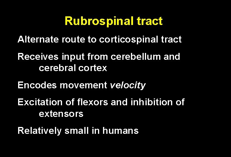 Rubrospinal tract Alternate route to corticospinal tract Receives input from cerebellum and cerebral cortex