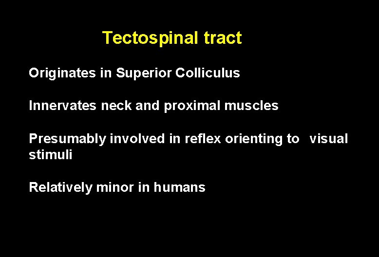 Tectospinal tract Originates in Superior Colliculus Innervates neck and proximal muscles Presumably involved in